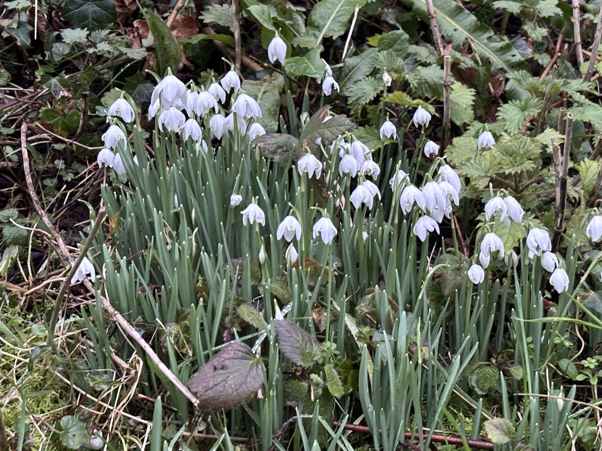 Susan Jones tweet media