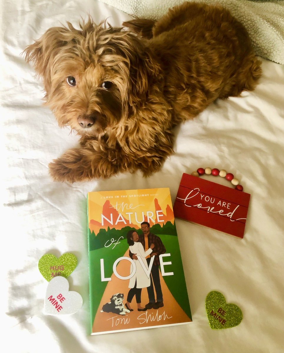 Melissasbooks1's tweet photo. Check out this delightful romance! https://t.co/S6gPRlL5Pg Now available here: https://t.co/g05awZhehZ #thenatureoflove #tonishiloh #stepintoashilohnovel #biopicauthor #loveinthespotlight #christianromance #mustreadbooks #bhpfiction #bookX #bookrec #bookreview #cleanromancebooks https://t.co/Q5J3rAa8JB