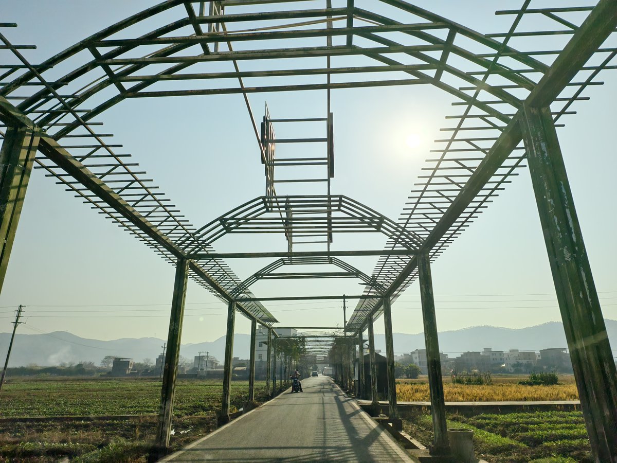 victor0758's tweet photo. Spring's almost here! In Lanzhai Scenic Area, Liantan Town, Guangdong, beautiful rape flowers will soon bloom. Let's visit together and soak in the vibrant spring scenery! 🌼 https://t.co/G98hKOjpnb