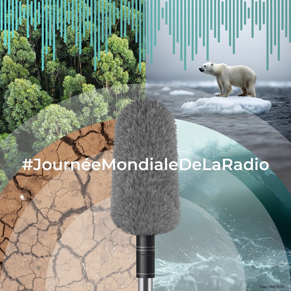 #JourneeMondialeDeLaRadio 
L'<a href="/ac_orleanstours/">Académie d'Orléans-Tours</a> est radiophile depuis 2008 avec la création d'une plateforme acd. 
🔗 webradio.tice.ac-orleans-tours.fr/eva
😊 Des projets #webradio de l'école primaire au lycée 🎙📻
 ➕ de 7️⃣0️⃣ établissements ont un équipement radio 
#EMI #Expression