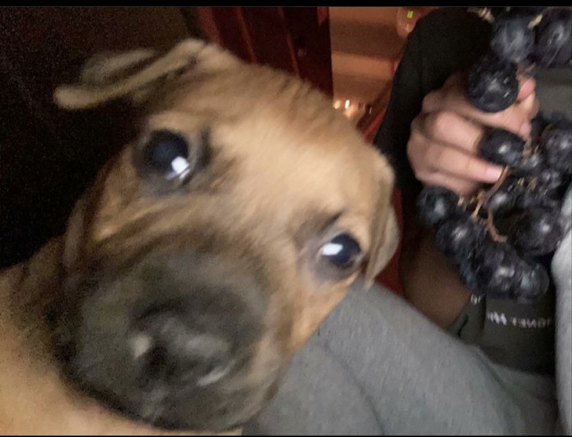 Efficiency Gaming (@efcygaming) on Twitter photo 