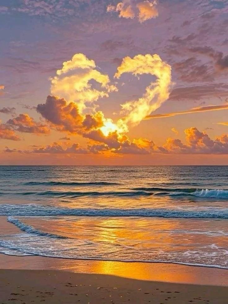 Solithra's tweet photo. 💛☀️ https://t.co/e5MjTMjjlL