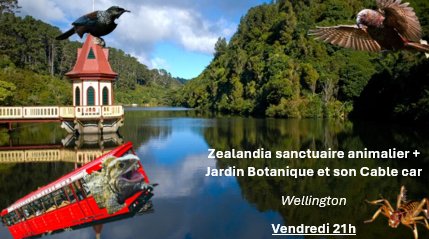 Stream IRL Wellington 2ème édition 🇳🇿
Visite d'une réserve animalière, pour voir des fougères géantes, des oiseaux, des gros insectes et des presque dinosaures 🫨🦕
RDV vendredi 21h pour vivre votre meilleur st Valentin (et aussi mon anniv)
 twitch.tv/drfoufousse