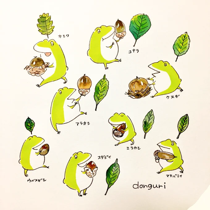 どんぐりの季節かえると植物好きなものを描いているなと思える大切な一枚 #この作品がなかったら今の自分は存在しなかったと言っても過言ではない作品を晒すべし 