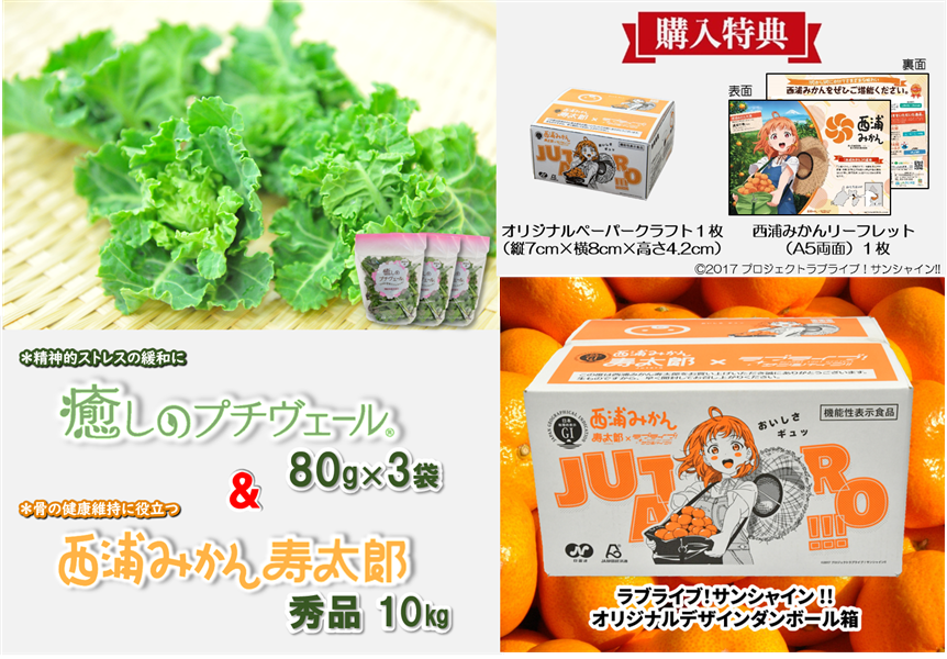 ✨🍊再販のお知らせ🍊✨ ネットショッピングサイト「JAタウン」で完売