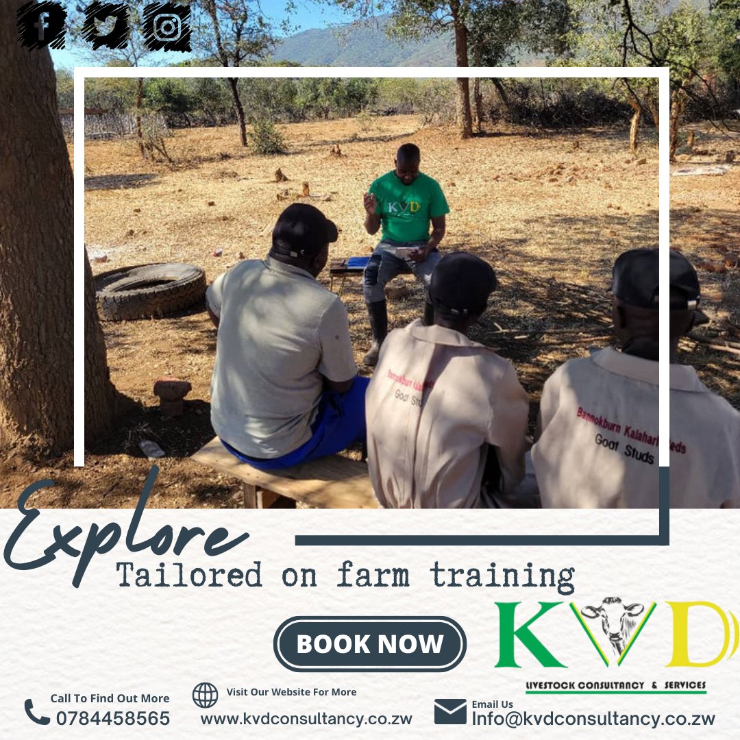 🚜 Struggling with livestock issues? KVD Livestock offers tailor-made training to solve your farm’s challenges &amp; boost productivity! 🐄💪 Contact us today!
App: 0784458565 

#FarmSuccess  #LivestockTraining #FarmProductivity