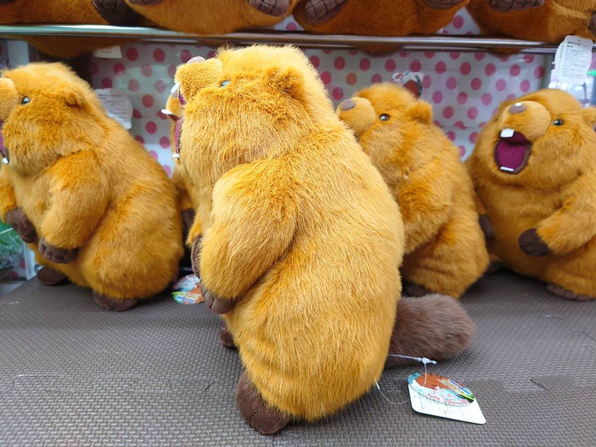 プライズ 情報】 「雄たけび！！ﾏｰﾓｯﾄ音声ぬいぐるみ」が入荷！ あの