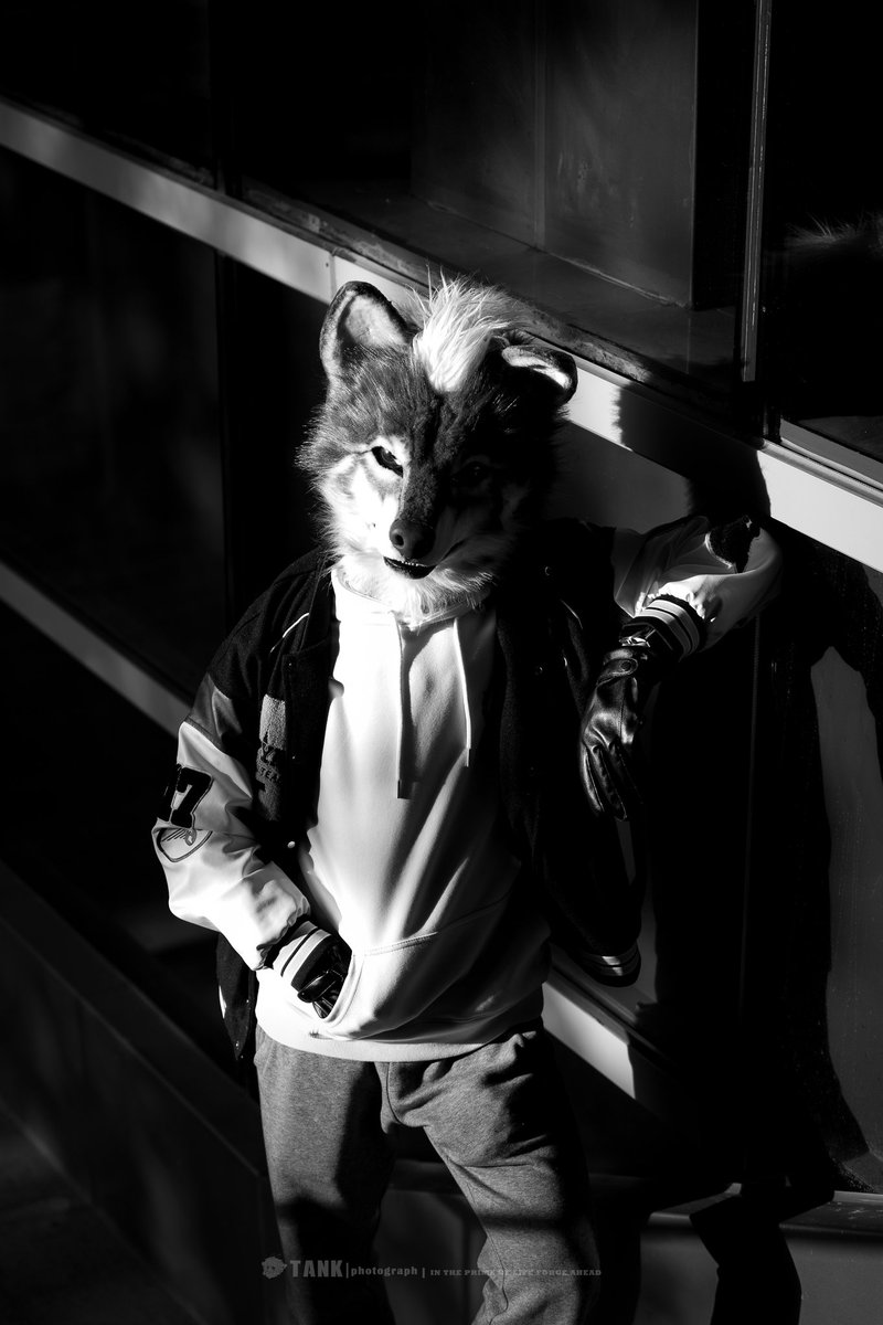 #furry #fursuit #FursuitEveryday #FursuitFriday 
📷:<a href="/JoshBeikal/">Beikal</a>