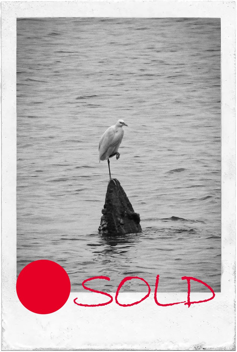 💎
Gm beautiful friends 

What a delightful morning! Saw the sale notification and realized that "Balance" was bought by dear <a href="/BaghbaniTayebeh/">TAY</a> 
Thank you so much, and I hope it brings her good luck. 💖✨ #NFTCommunity #blackandwhite #photograpy