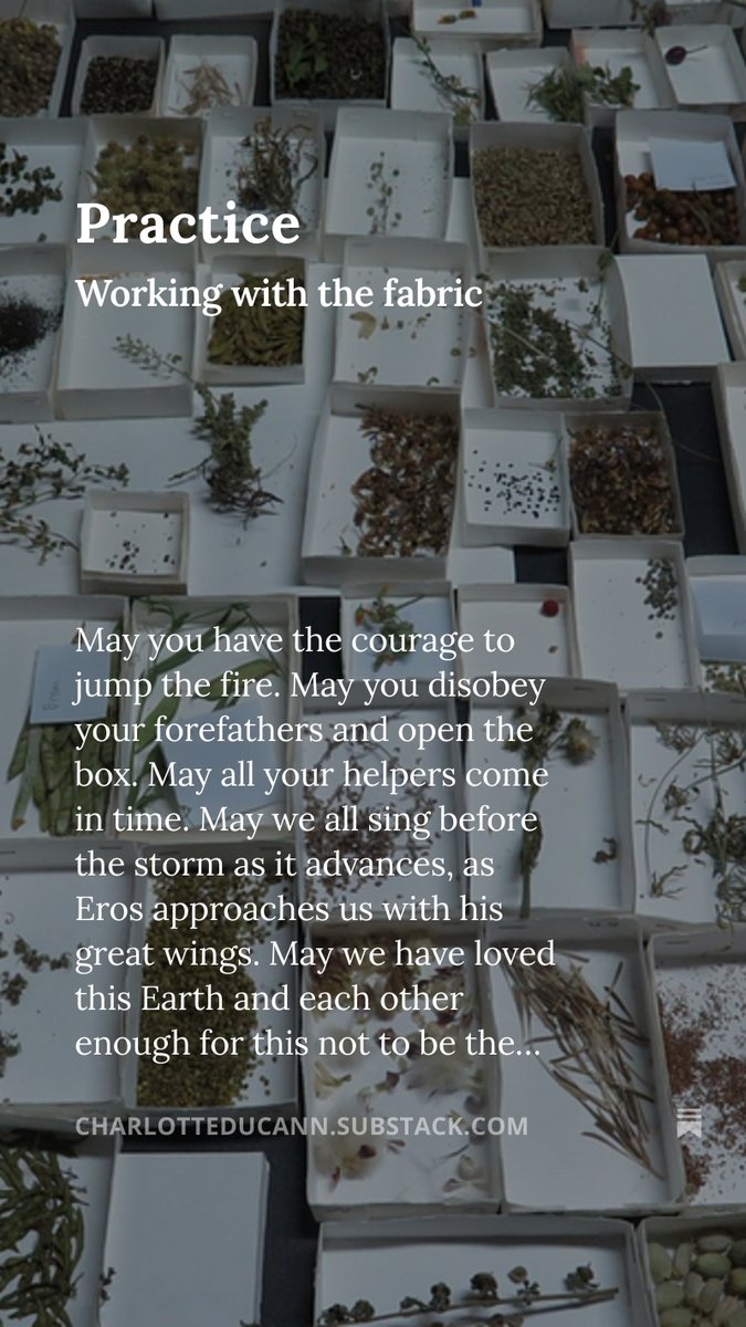 Charlotte Du Cann tweet media