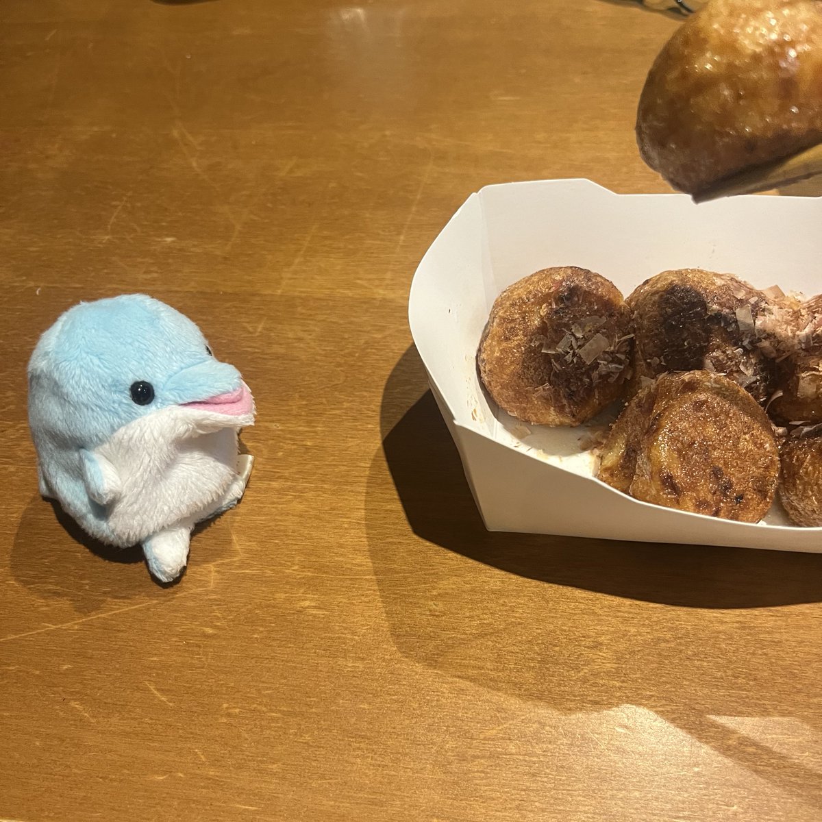 torutorutatan's tweet image. はい あーん

やっぱあげない