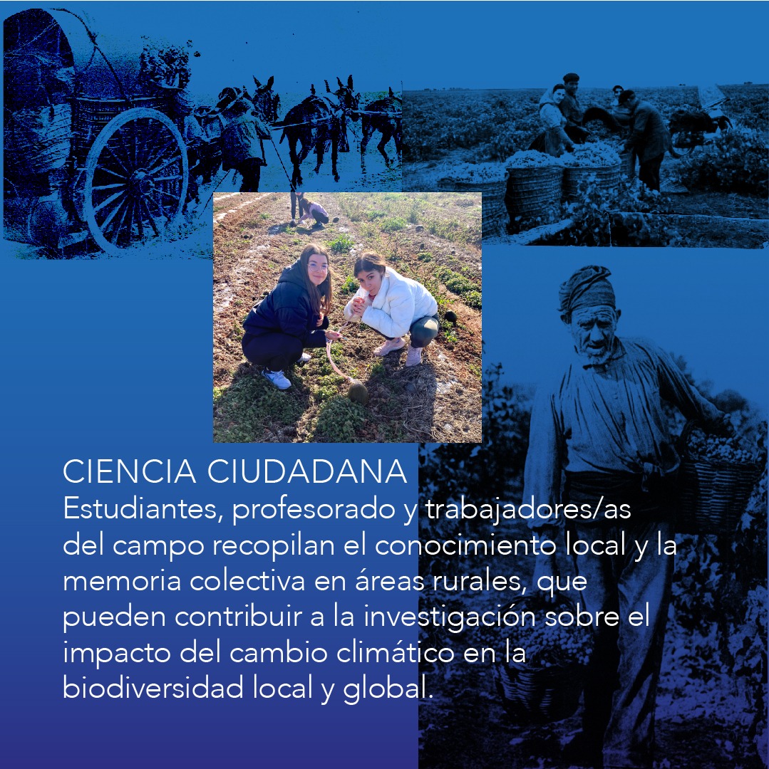 LCATMon's tweet image. 🦟🔬"Time Flies!" #MelanogasterCTF #CienciaCiudadana para recuperar el Conocimiento Local y la Memoria Colectiva
🌾 Con la colaboración de estudiantes, docentes y personas que trabajan el campo, y su potencial en la investigación científica.
Los Portales, #Tomelloso
🗓️ 15/feb…
