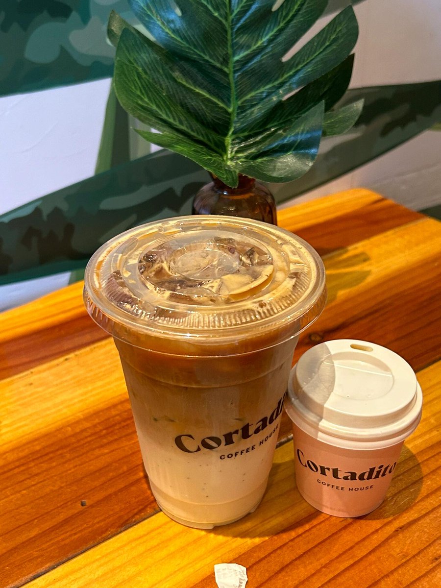 MirandaOnlyL's tweet photo. Start with a cup of coffee and bring yourself a good mood for the day. Coffee is an indispensable partner in the morning. ☕️🌿#coffee #coffeetime https://t.co/LMHJgWRL0r