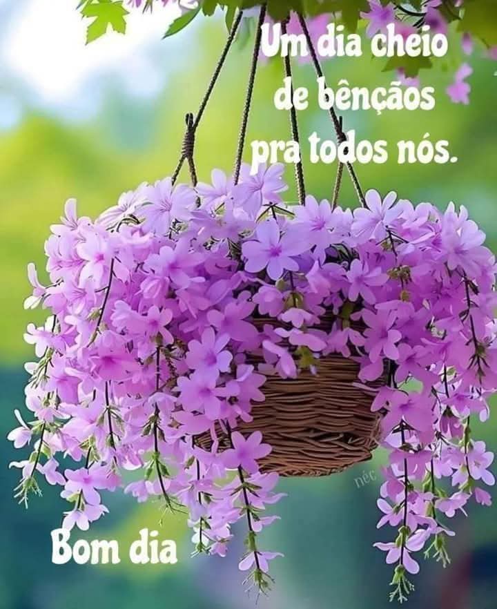 Paulo 🇧🇼🇧🇼🇧🇷🇧🇷 tweet media