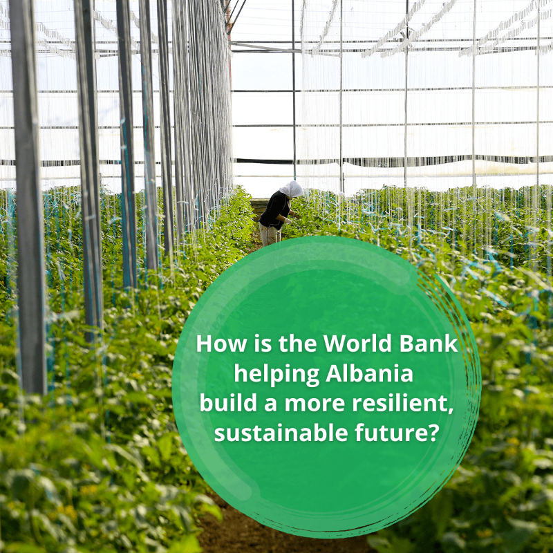 WorldBankECA's tweet photo. New @WorldBank support will help Albania build a more resilient, sustainable future by:

🏛️ Enhancing the government's ability to address fiscal risks

💡 Boosting energy security

♻️ Investing in protecting the environment

Learn more: