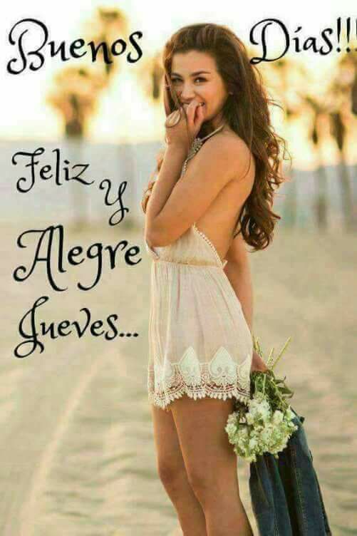 SOY SUSY tweet media