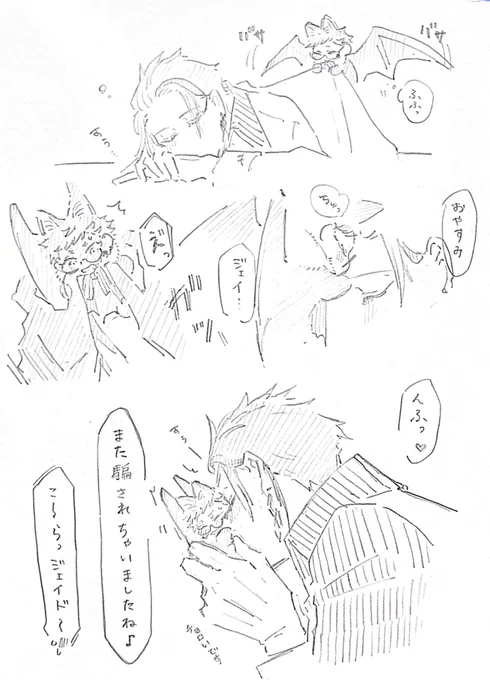 狸寝入り 🦇トレジェイ 