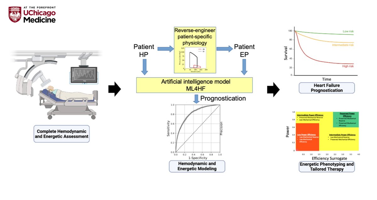 UChicagoCardio (@uchicagocardio) on Twitter photo Just presented at #THT2025! Dr. Jonathan Grinstein (<a href="/JonGrinsteinMD/">Jon Grinstein MD</a>) introduced PAC Dynamic’s Virtual Patient Simulator, and now the full research is published in <a href="/JACCJournals/">JACC Journals</a>.
Learn how hemodynamics and the Cardioenergetic Profile are advancing precision heart failure care. Just presented at #THT2025! Dr. Jonathan Grinstein (<a href="/JonGrinsteinMD/">Jon Grinstein MD</a>) introduced PAC Dynamic’s Virtual Patient Simulator, and now the full research is published in <a href="/JACCJournals/">JACC Journals</a>.
Learn how hemodynamics and the Cardioenergetic Profile are advancing precision heart failure care.