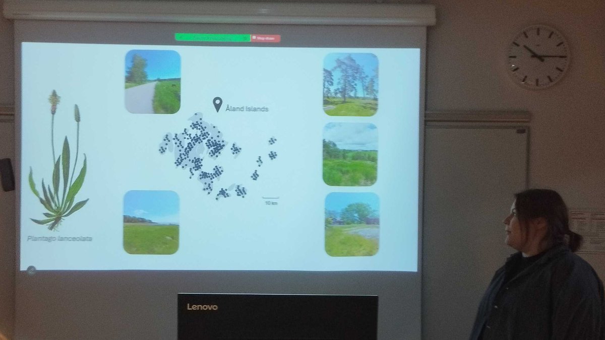 RECecochange's tweet image. Today at REC seminar Maija Jokinen presented her PhD work investigating the drivers of viral community assembly in a wild plant host, Plantago lanceolata, in the Åland Islands 🌱🌿🪴