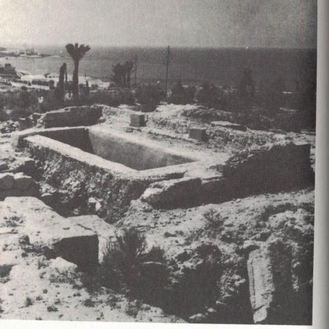 AlicantePedia.com tweet media