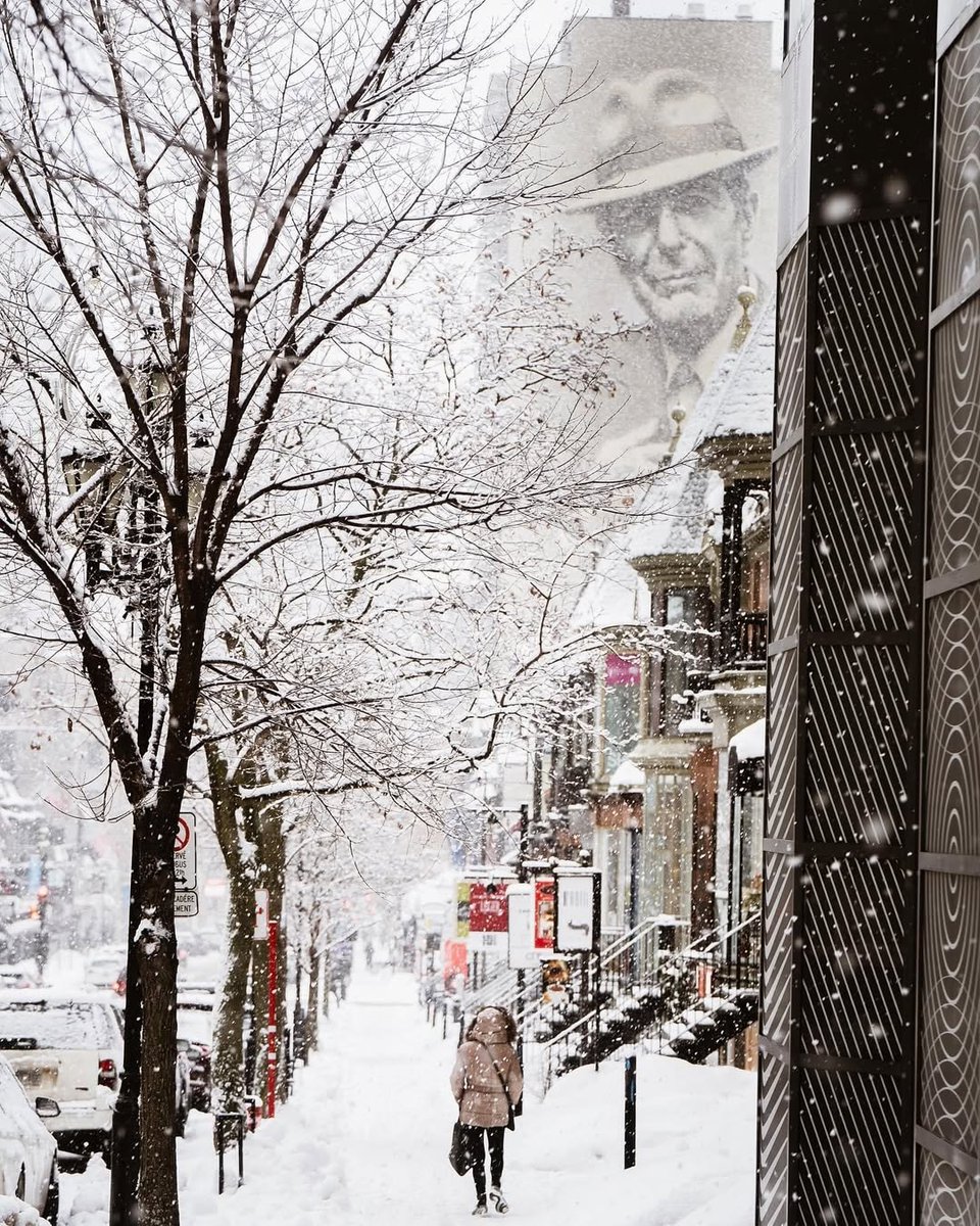 Jour de neige à Montréal ☃️

📷 <a href="/Eric_Branover/">Eric Branover</a> #Montréal #MTLmoments #PhotoduJour