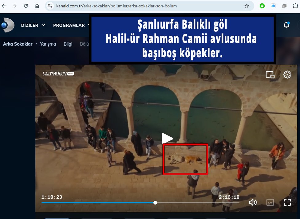 Ey_Nizam's tweet image. #UrfaKuduz - Bir şehir ki #BaşıboşKöpekler dört bir yanını sarmış, insanlar sokaklarda güvende değil, bu başıboşluk kuduz ve insan ölümlerine kadar gitmiş ama şehir güvenli hale getirilmek bir yana dursun kuduz ve başıboş kaynaklı ölüm ve yaralanmalar devam ediyor..
daha önce de…