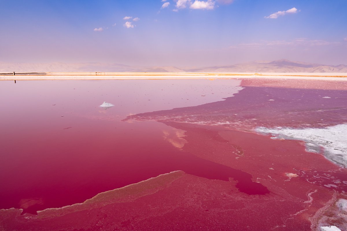 雲くじら (@CbK2cA4AkktKJge) / Posts / X