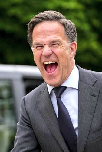 Sacked by the Dutch people, a political failure, now a serial fabricator of reality, War monger and political delusionist. 

Appointed without any mandate or election by NATO members citizens  to "Lead" NATO, huge salary, pension and benefits

A picture worth a thousand words.
