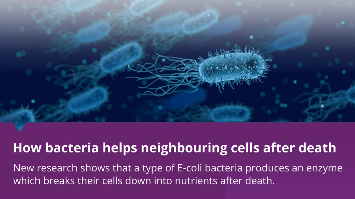Durham University (@durham_uni) on Twitter photo Lead researcher Prof Martin Cann of <a href="/DurBiol/">Durham BioSciences</a> says the surprising finding represents 'a fundamental rethink about how we view the death of an organism'.
Read more 👉 brnw.ch/21wQFCp
<a href="/UniofOxford/">University of Oxford</a> <a href="/OxfordBiology/">Oxford Biology</a> <a href="/EdinburghUni/">The University of Edinburgh</a> #DUinspire #DUreseach Lead researcher Prof Martin Cann of <a href="/DurBiol/">Durham BioSciences</a> says the surprising finding represents 'a fundamental rethink about how we view the death of an organism'.
Read more 👉 brnw.ch/21wQFCp
<a href="/UniofOxford/">University of Oxford</a> <a href="/OxfordBiology/">Oxford Biology</a> <a href="/EdinburghUni/">The University of Edinburgh</a> #DUinspire #DUreseach