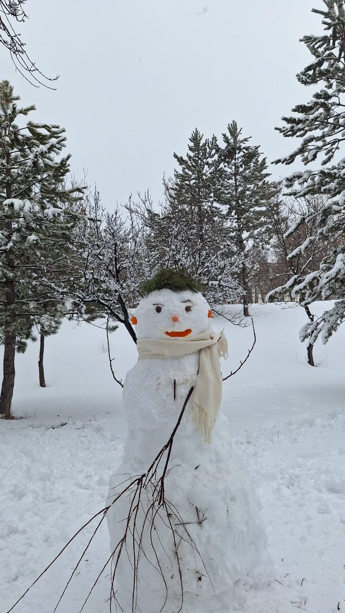 cütıpfak dönem 3 kardan adamı endokrin komitesine ve hayatta kalmaya çalışıyor