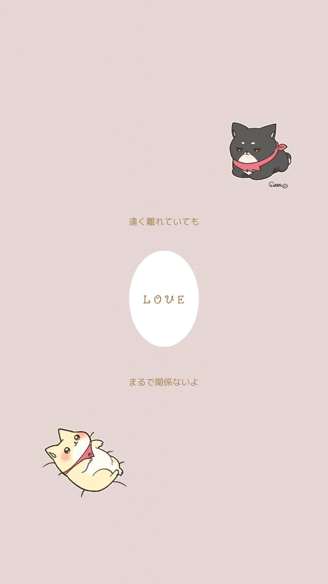 maro_anko_apmr's tweet photo. 🐕 𝙃𝘼𝙋𝙋𝙔 𝙑𝘼𝙇𝙀𝙉𝙏𝙄𝙉𝙀’𝙎 𝘿𝘼𝙔 🐕

障害のある恋？
叶わないかもしれない恋？

なにがあっても
きっと乗り越えられる。

その恋が叶うように
障害なんてなくなるように
心を込めて待ち受けを渡すばい🍫

いいねとリポストで
保存してくれたら嬉しいと❁ https://t.co/18LgllnUFm