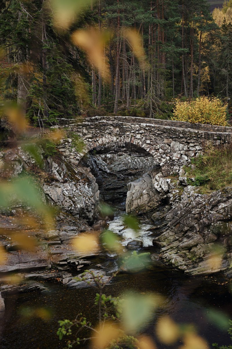 kylebonallo's tweet photo. The Falls of Bruar, near Blair Atholl #Scotland https://t.co/mP3zyDCuDt