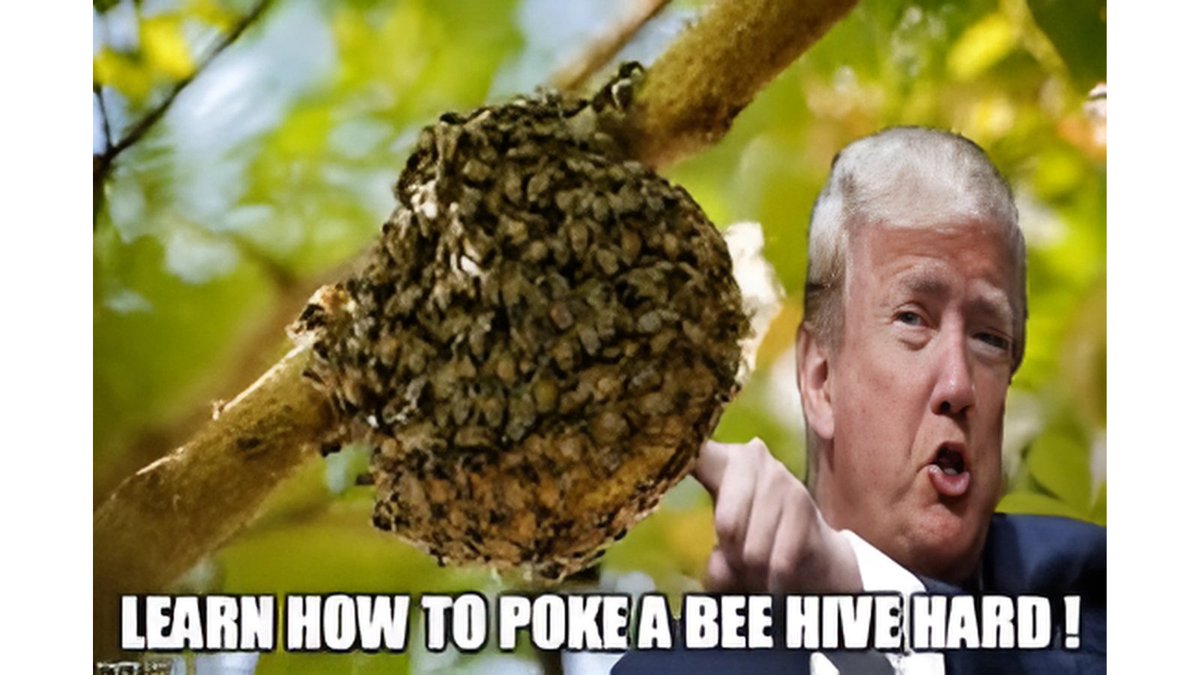 🐻⛓️ Other Berachain projects thinking they can launch without liquidity incentives:
Pokes the hive
Meanwhile, BeraHive Swap traders:
🐝 Farming rewards
🍯 Climbing leaderboards
💰 Earning fee rebates

Don't disturb the hive unless you’re ready. 🏆🔥
#berachain #bera $bera