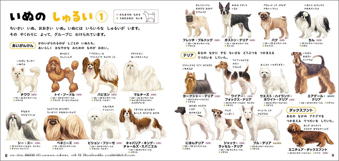 DoraSakio's tweet photo. 図鑑のお仕事で描いた犬達、みてほしい https://t.co/MZR4k9b24L