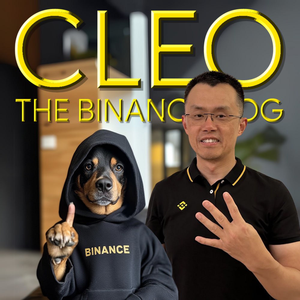Them: <a href="/BNBCHAIN/">BNB Chain</a> is ripping, any news?

<a href="/cz_binance/">CZ 🔶 BNB</a>: