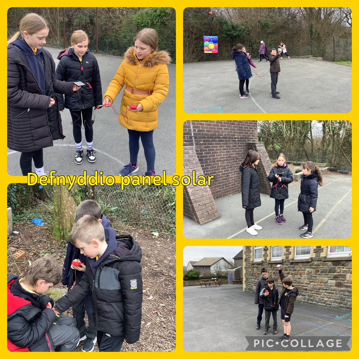 Ysgol Gwynfryn tweet media