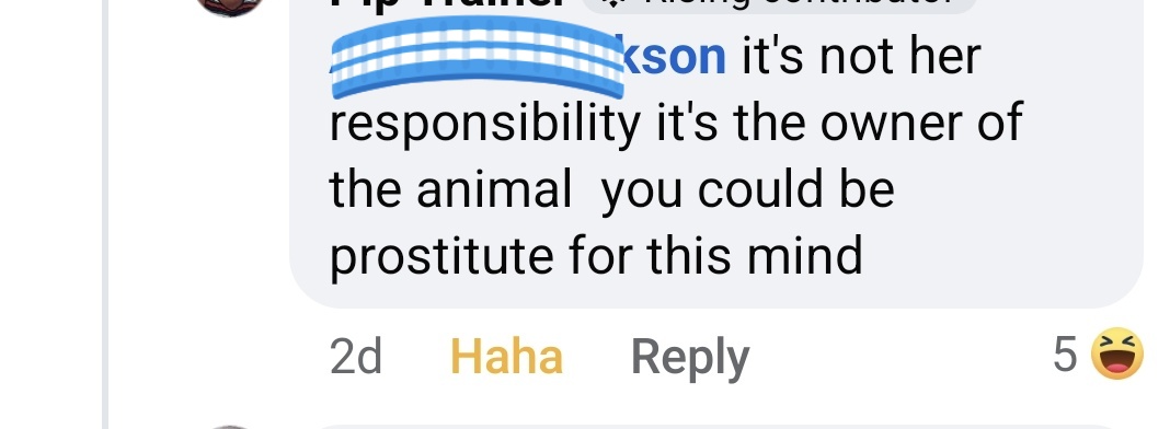 Stop it I'm crying. Post on the local FB group talking about dog shite. I think someone made a boo boo of this comment hahahahha