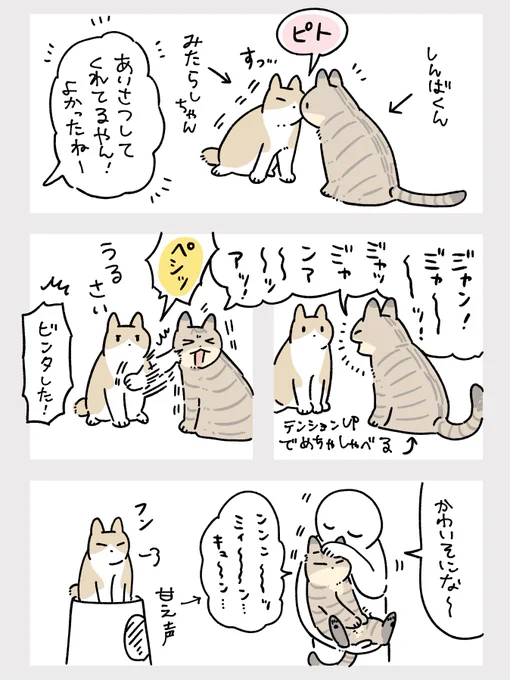おしゃべり大好きしんばくんと
口より先に手が出るみたらしちゃん 