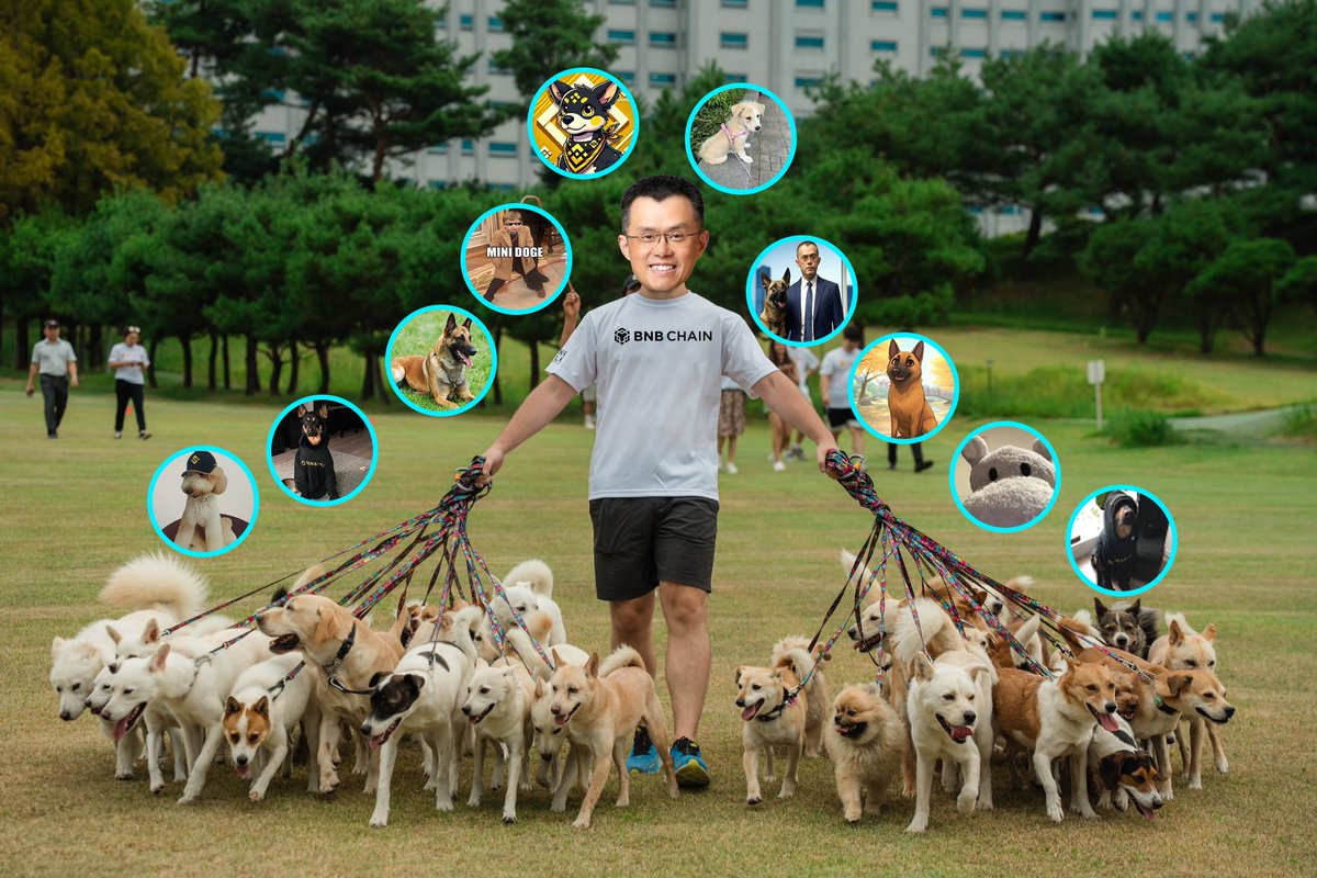 BitgetWallet's tweet photo. CZ right now: @cz_binance https://t.co/BcqkzUFbTY