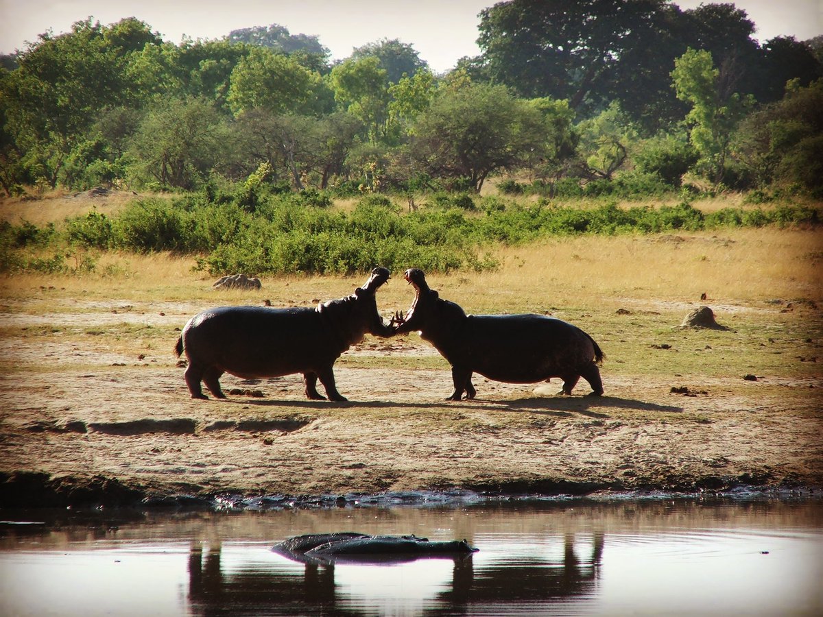 Danny Goss tweet media