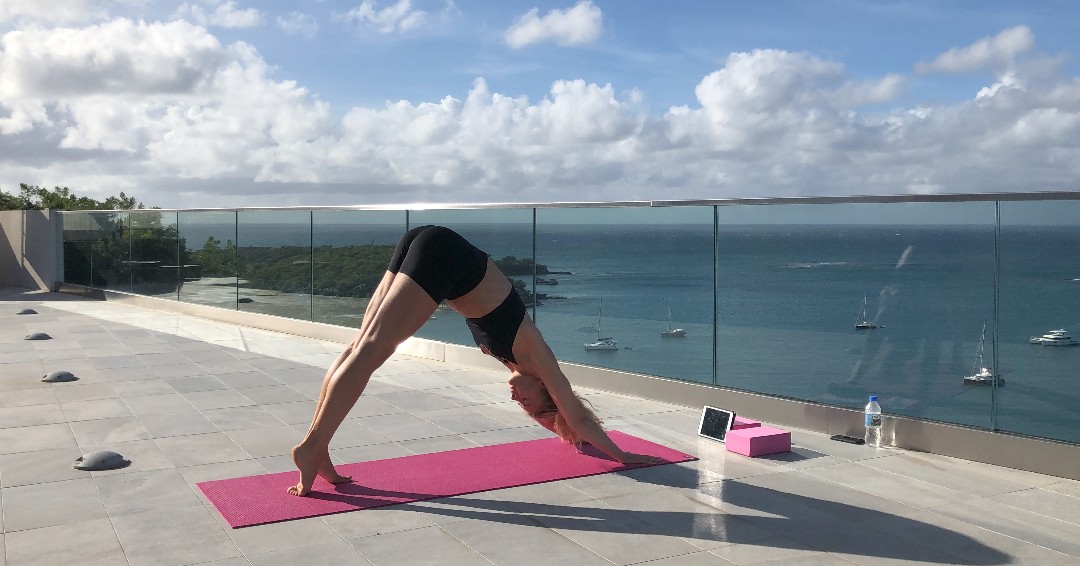 The Point Grenada tweet media