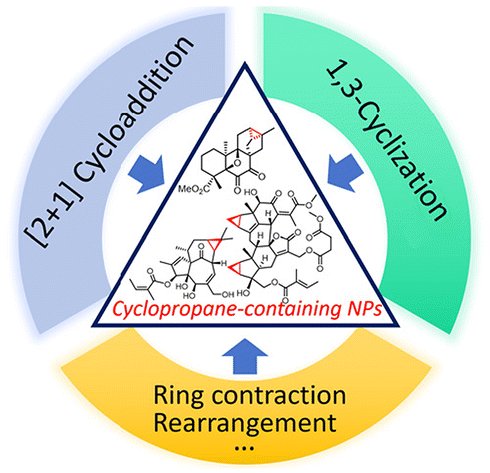 OrgChemFront's tweet photo. 👇Welcome read recent review paper by Jian-Min Yue et al for OCF 10th Anniversary Collection!
Total synthesis of #cyclopropane-containing natural products: recent progress (2016–2024)
https://t.co/j9tWpBEEOd https://t.co/gAdW10LpmJ
