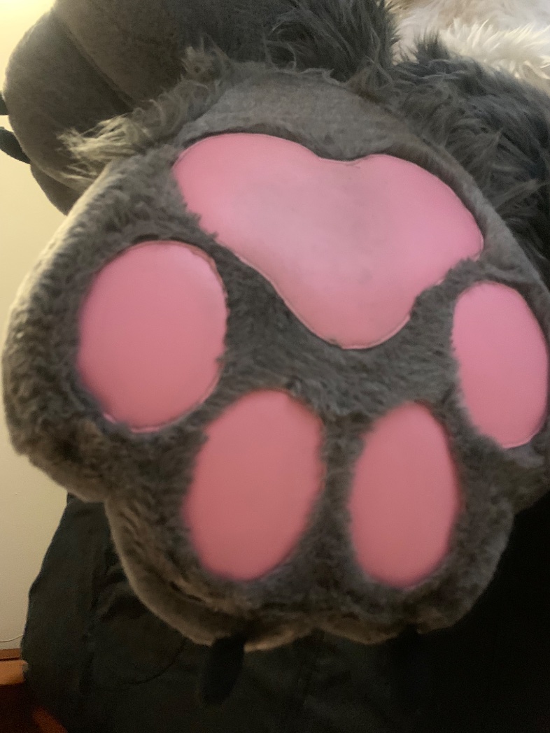 Worship ‘em, cutie~ 🐾🐾