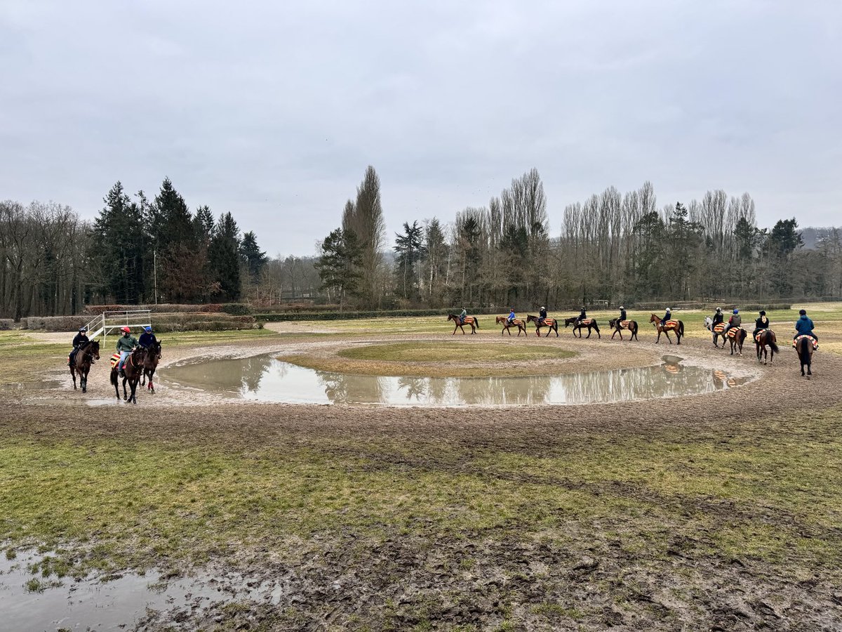 A little damp on the schooling grounds in Chantilly this morning!