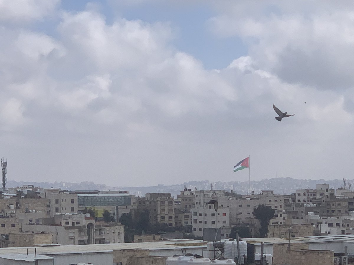 #الأردن باستقبال #الملك