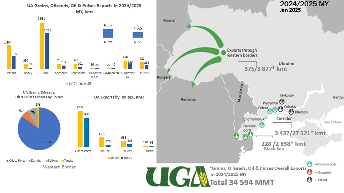 UkrGrain's tweet image. Some insights on UA Grain & Oilseeds exports in Jan 2024 and total for 7 months of 24/25 MY