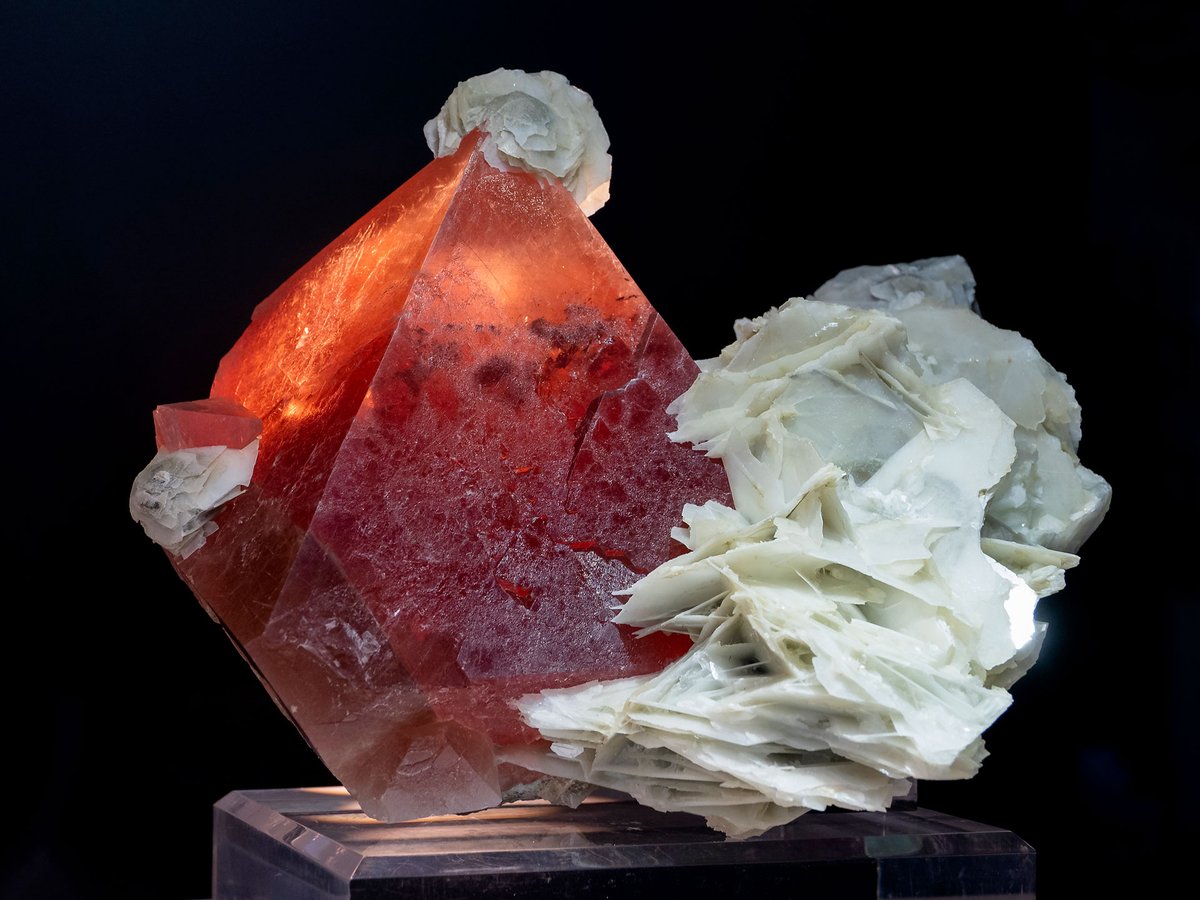 Huge red #Fluorite crystal with "paper" #Calcite from Huanggangliang Mine, Inner Mongolia, China.

#minerals #crystals #mineralcollecting #mineralexpert #rockhounding #mineralogy