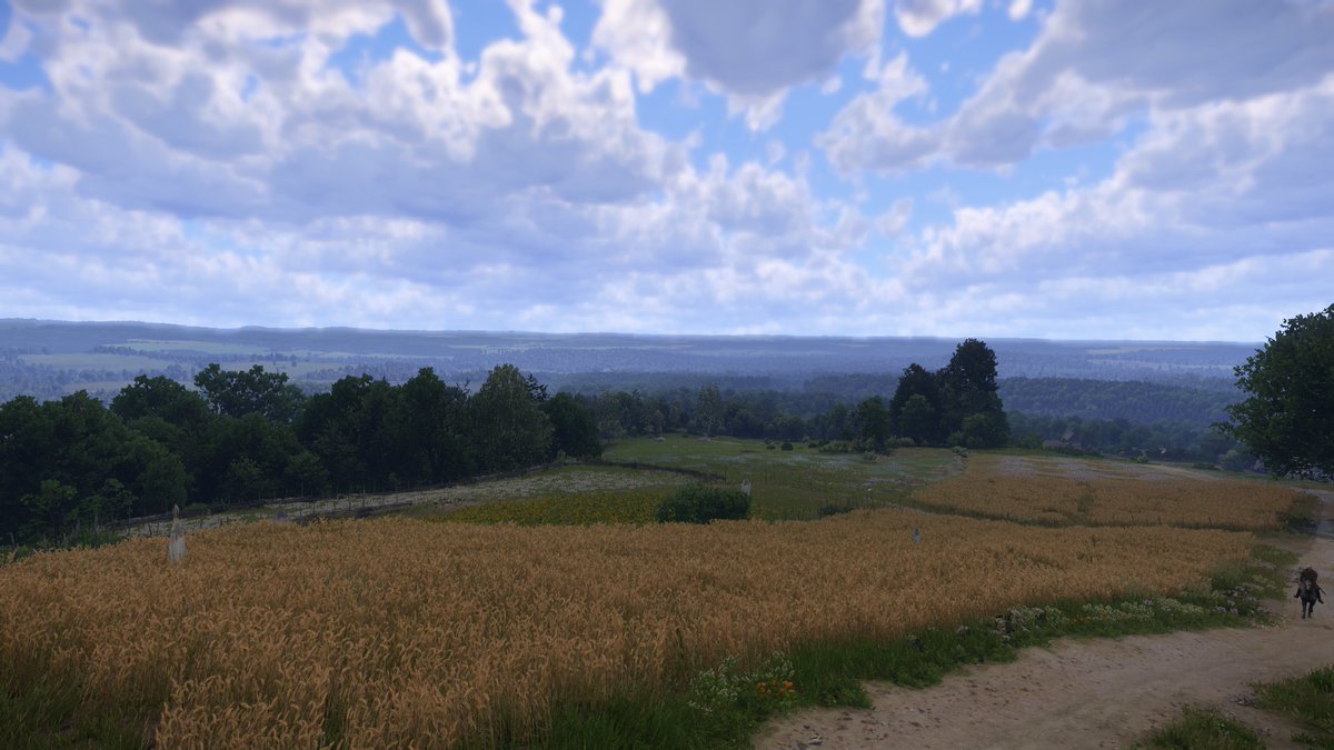 IntroNerd_'s tweet image. Wiekszość graczy #KCD2 odkryła w sobie pasję do fotografii, ja też. Warunki pogodowe i gra światła w tej grze to mistrovství!