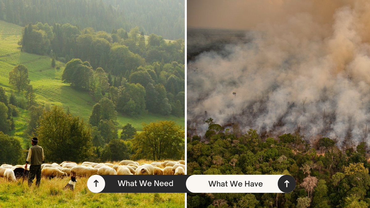 Eurogroup For Animals tweet media