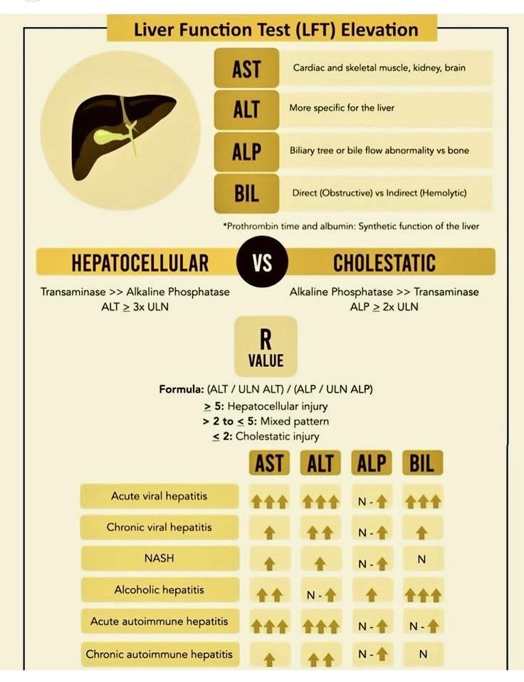 Liver Function Test Elevation ⚡️

🫀🫁🧠